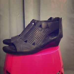 Aerosols Black Wedges